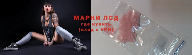 дживик Россошь