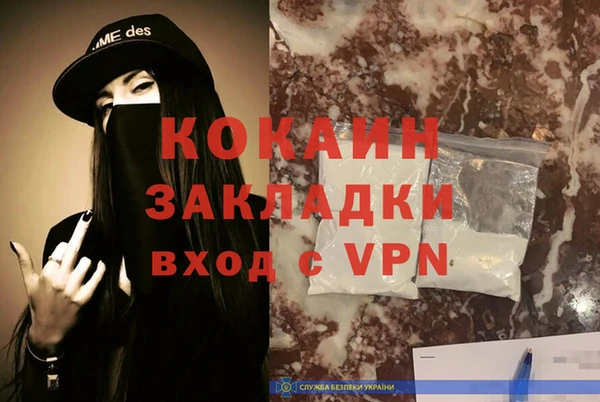 дживик Россошь