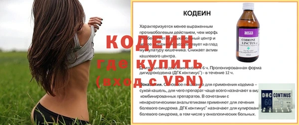 дживик Россошь