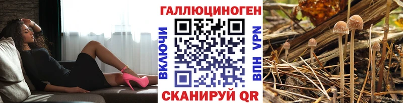 Псилоцибиновые грибы Magic Shrooms  Ардатов 